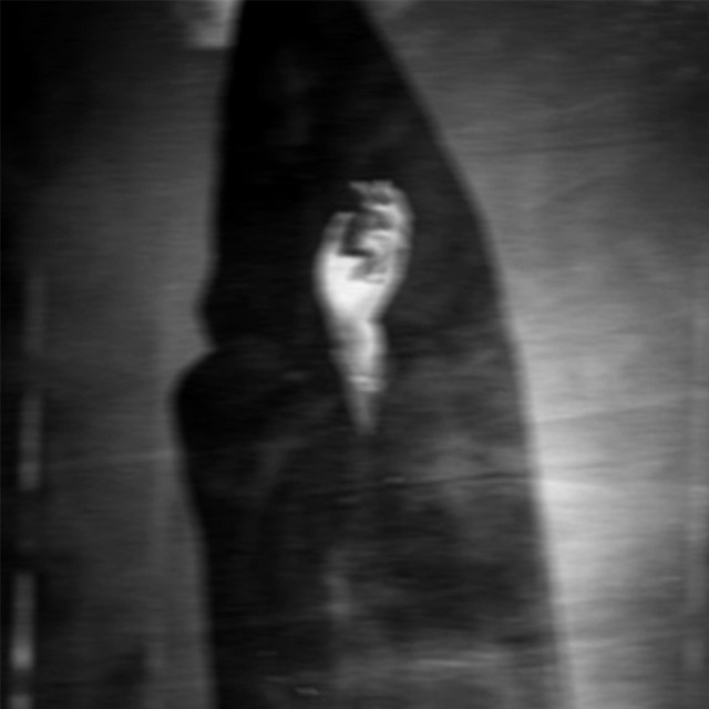Night cover art
