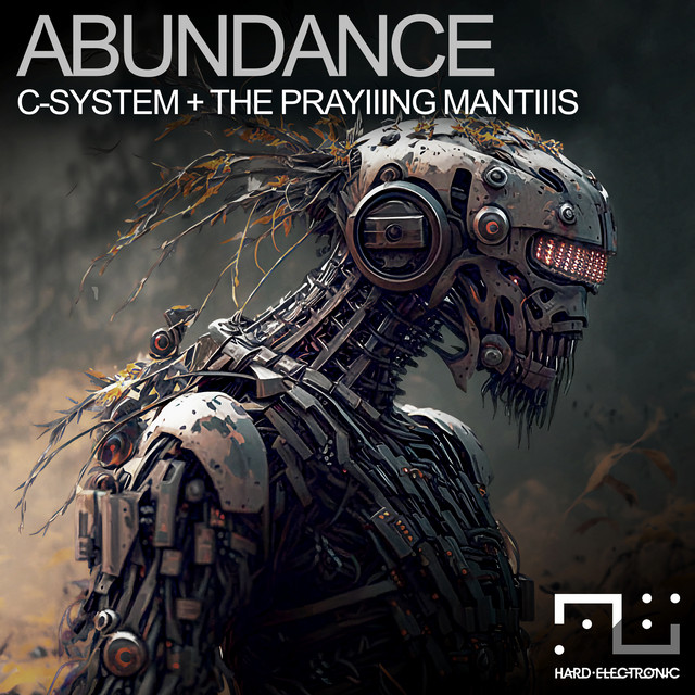 Abundance cover art