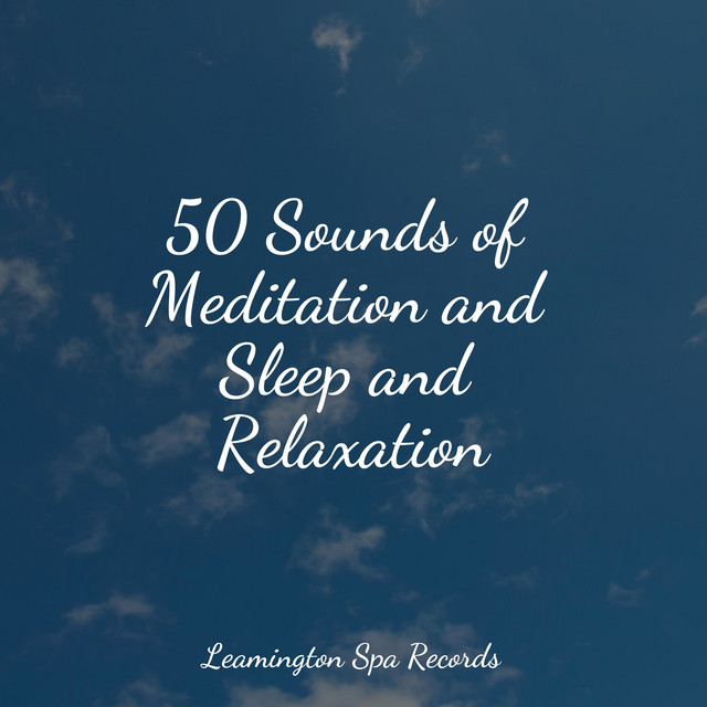 50 Sounds of Meditation and Sleep and Relaxation - Album by Baby Sleep ...