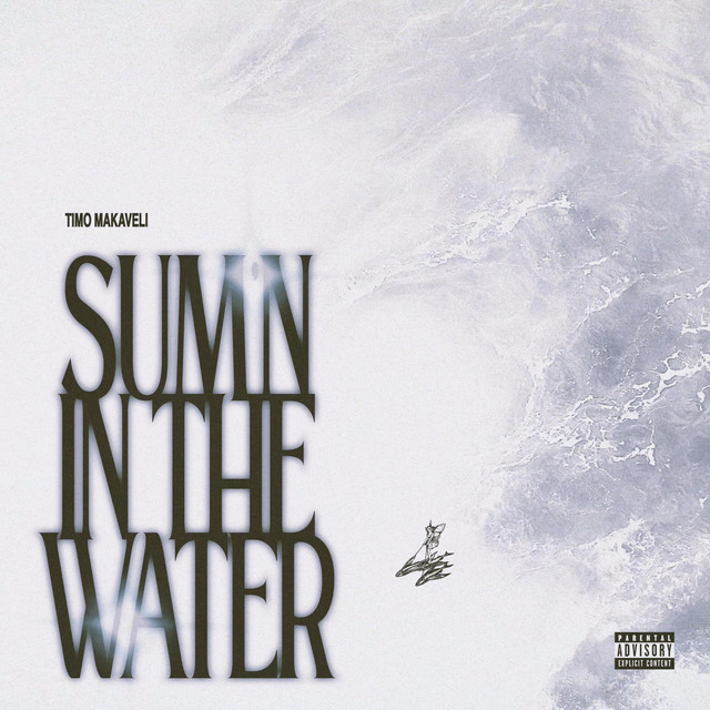 SUM'N IN THE WATER cover art