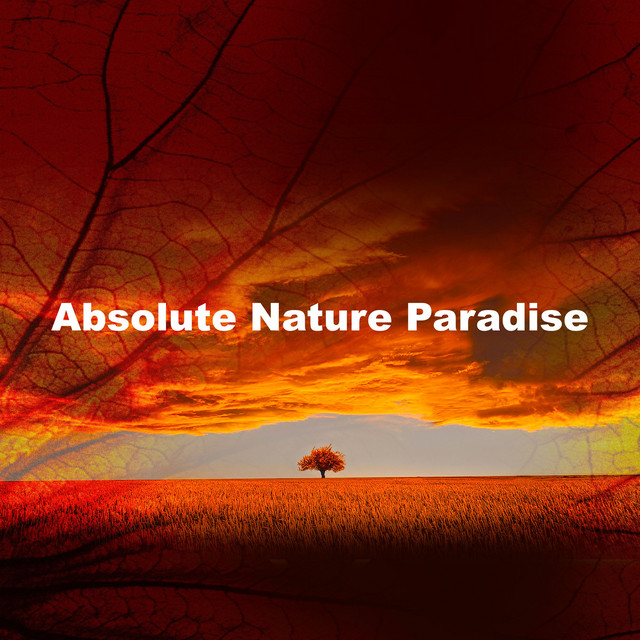 Absolute Nature Paradise - Album by Australian Nature Sounds | Spotify