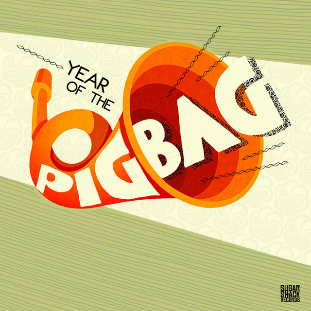 Year Of The Pigbag cover art