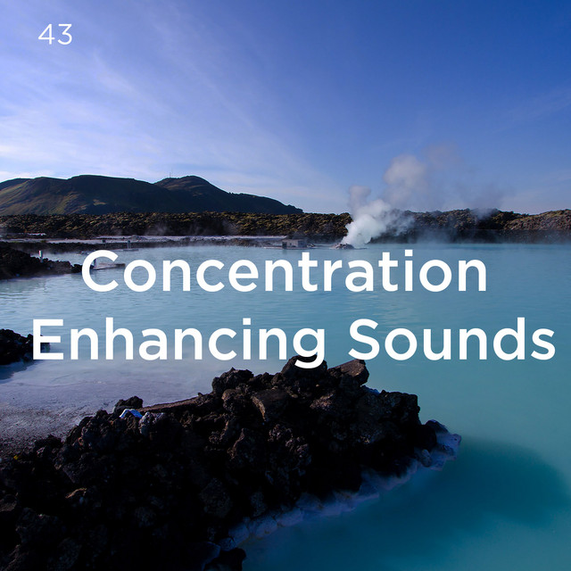 43 Concentration Enhancing Sounds cover art