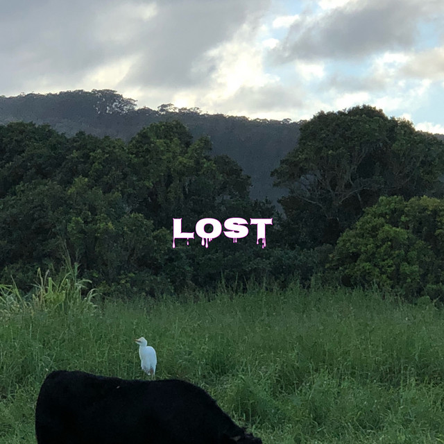 Lost cover art