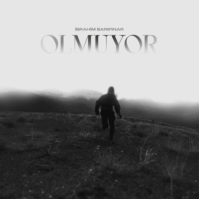Olmuyor cover art