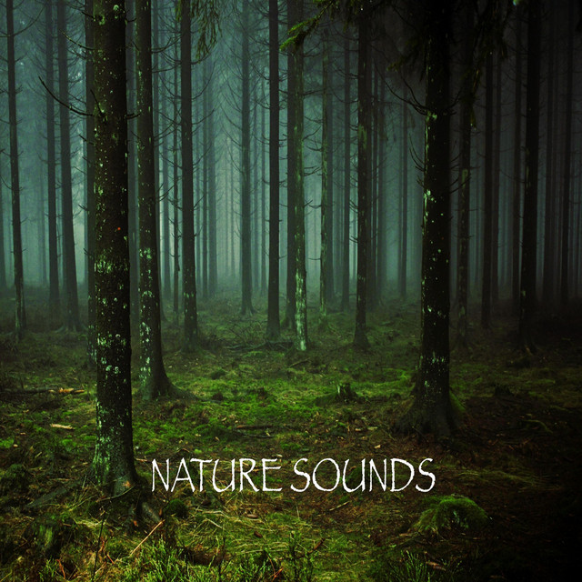 Nature Sounds cover art