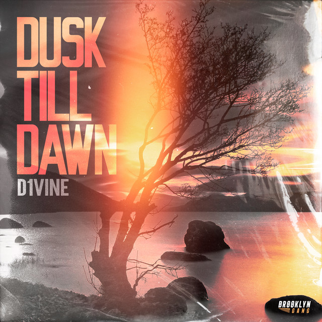 Обкладинка: Dusk till Dawn — D1VINE
