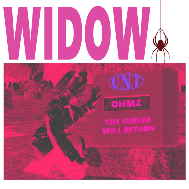 WIDOW cover art