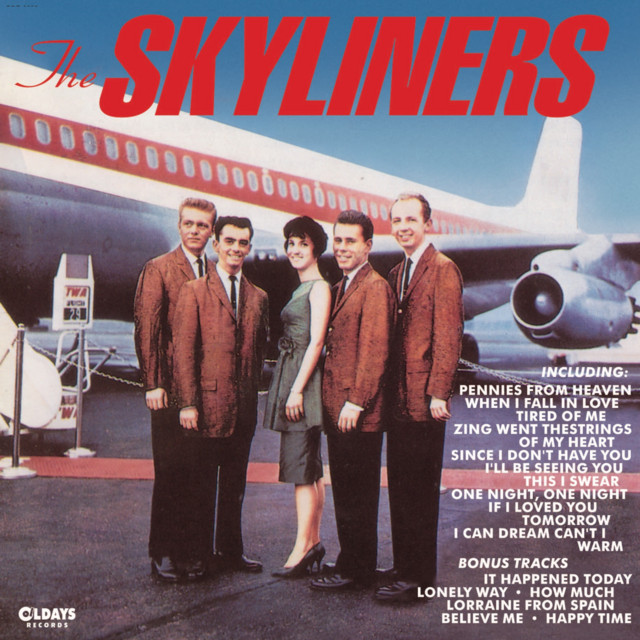 ザ・スカイライナーズ cover art