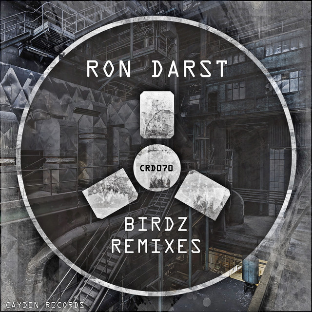 Birdz - Kony Donales Remix cover art