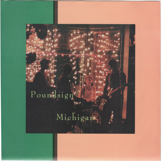 Michigan cover art
