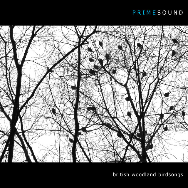 British Woodland Birdsongs cover art
