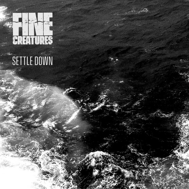 Settle Down cover art