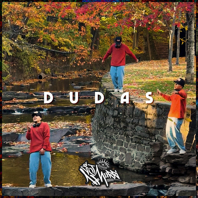 DUDAS