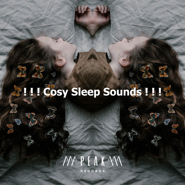 Cosy Sleep Sounds ! ! ! - Album by Deep Sleep Music Collective | Spotify