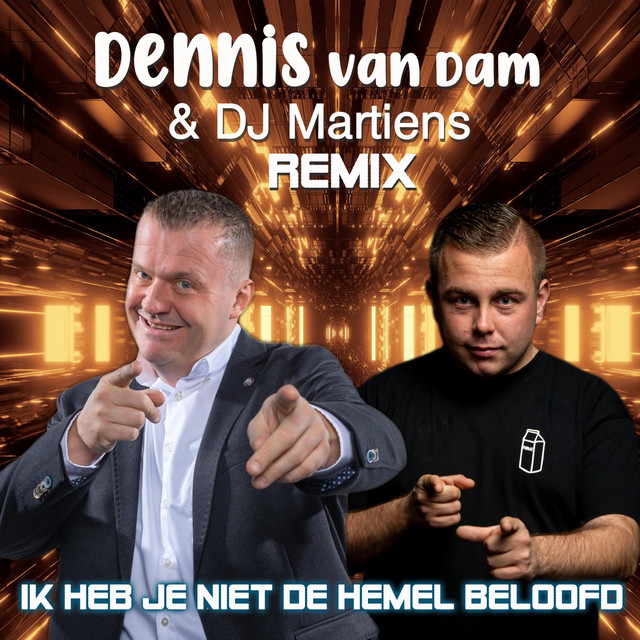Ik Heb Je Niet De Hemel Beloofd (Remix) cover