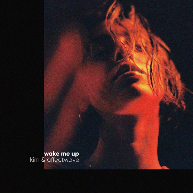 Wake Me Up