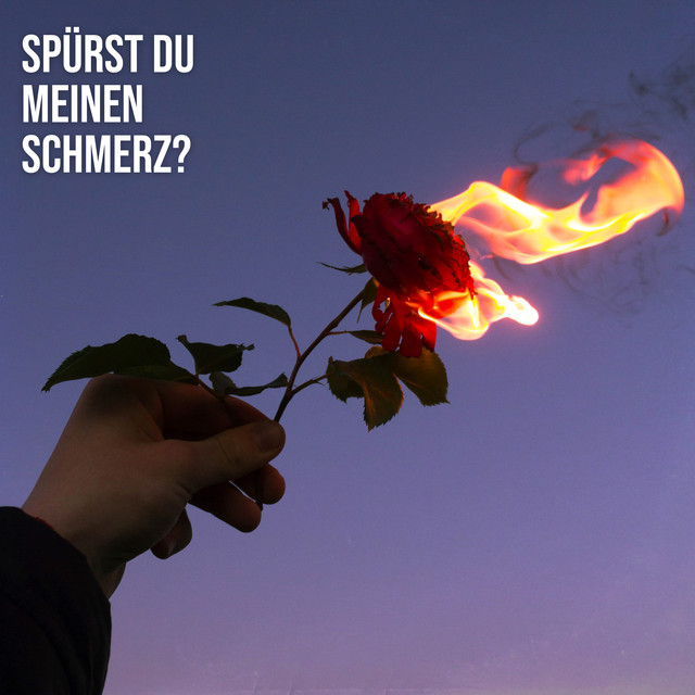 Spürst du meinen Schmerz cover