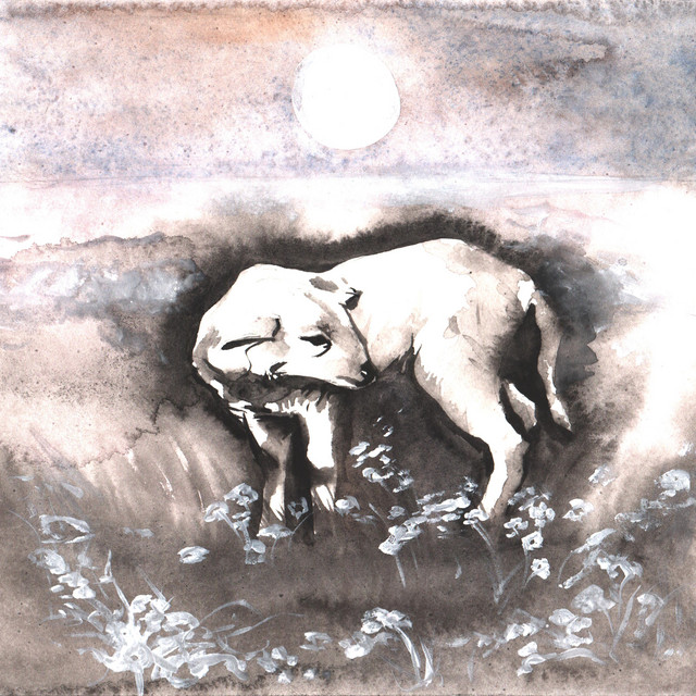 Обкладинка: New Comfort — Birth Of The Shepherd