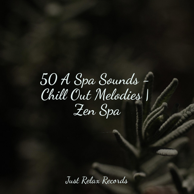 50 A Spa Sounds - Chill Out Melodies | Zen Spa - Album by Alpha Waves ...