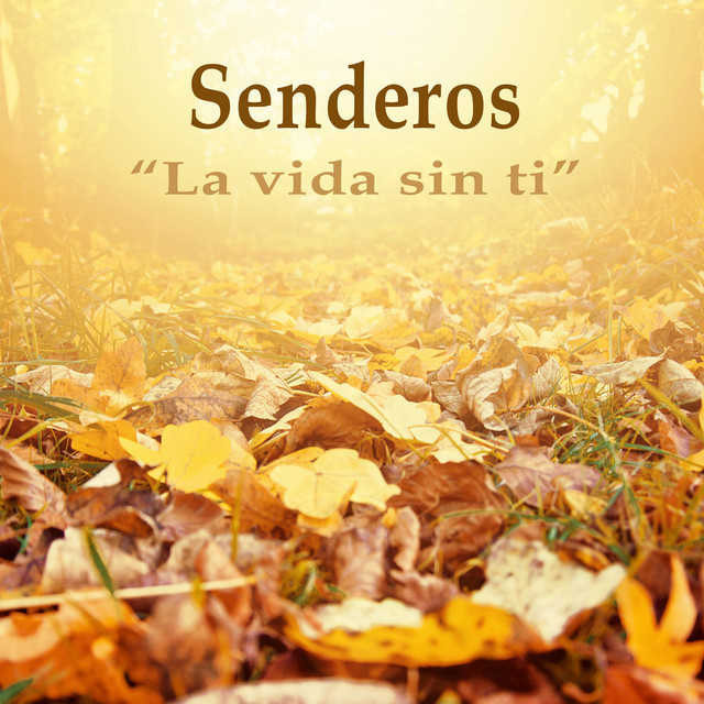 La vida sin ti cover art