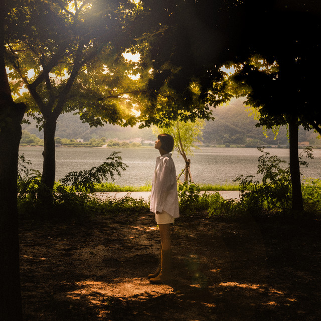 Into the Light cover art
