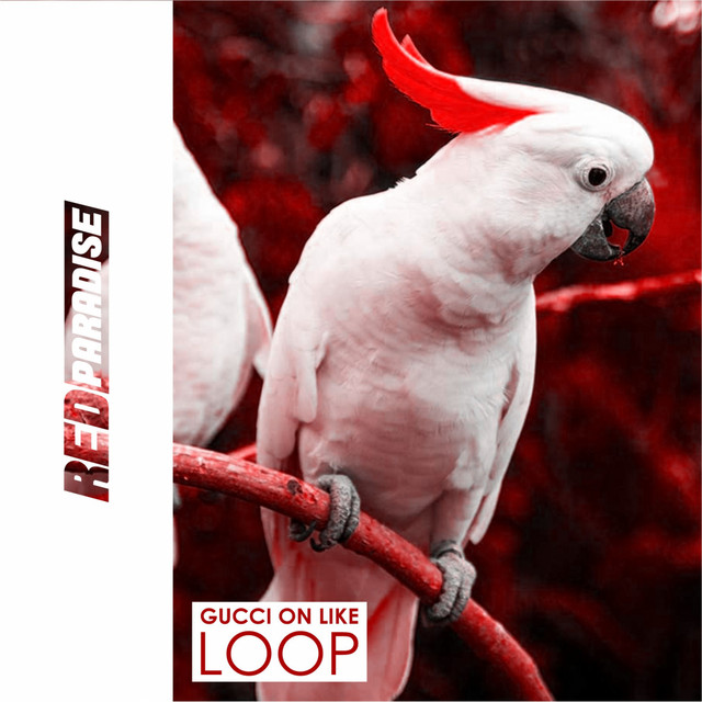 Gucci On Like album art