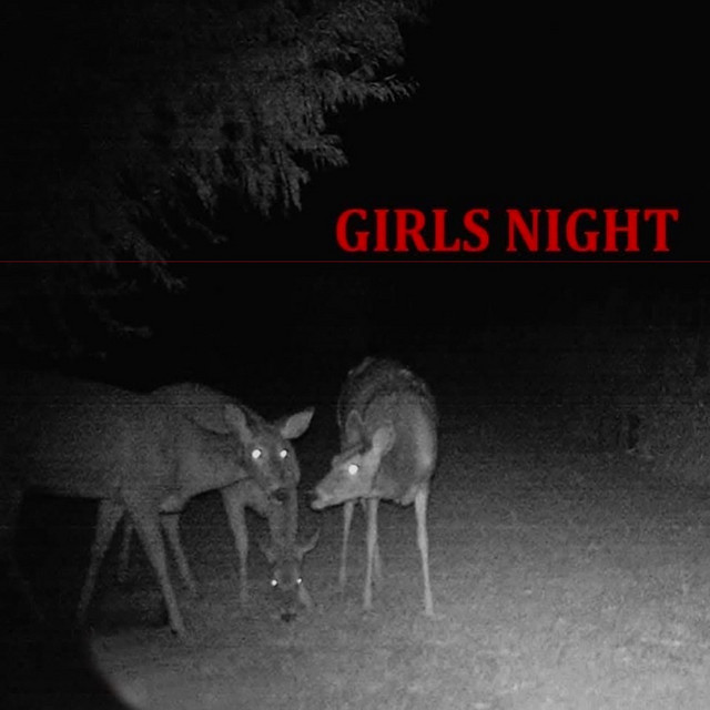 Girls Night cover art