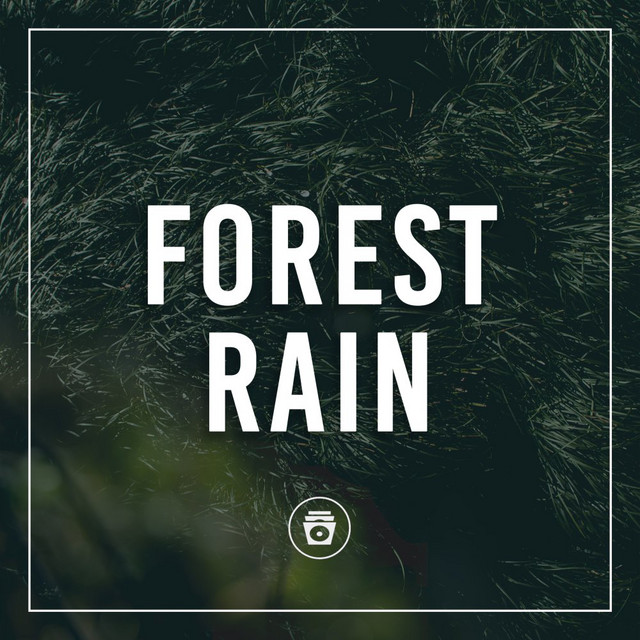 Forest Rain cover art