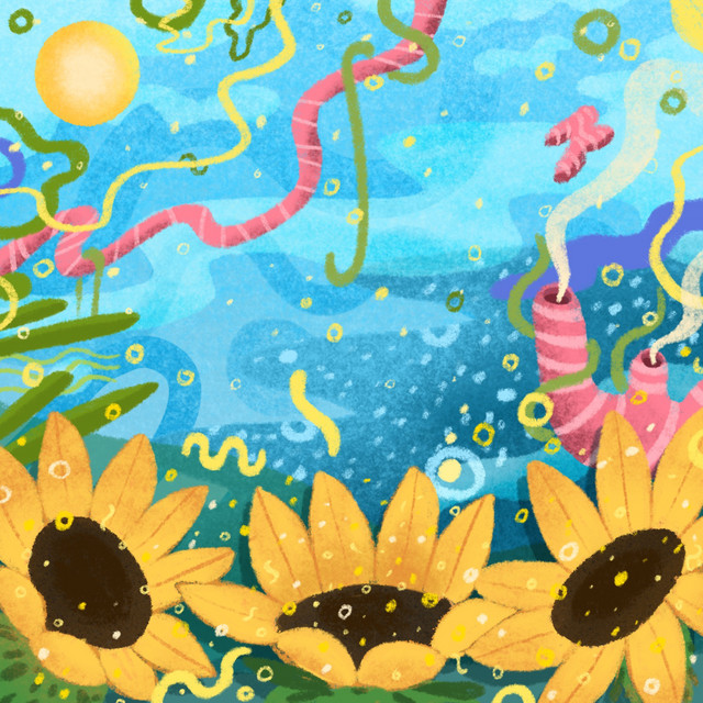 Meadow album image