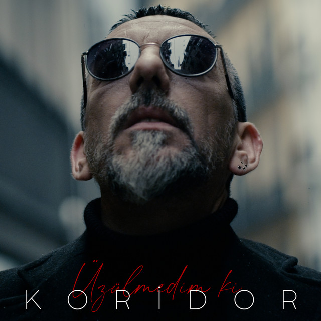 Üzülmedim ki cover