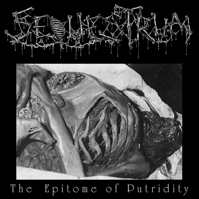 The Epitome of Putridity cover