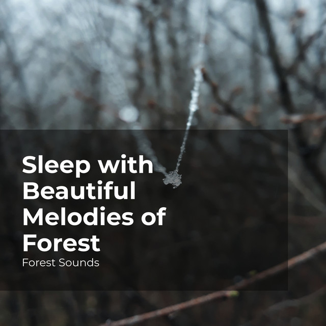 Sleep with Beautiful Melodies of Forest - Album by Forest Sounds | Spotify