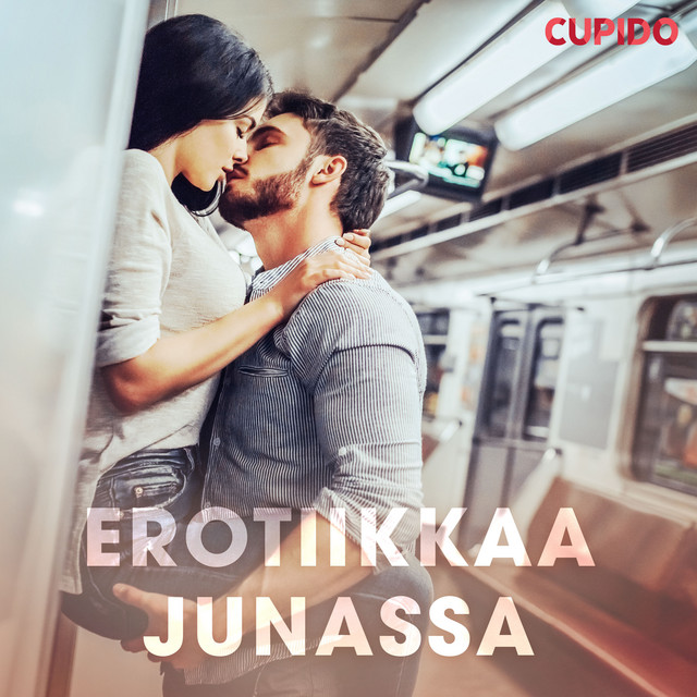 Erotiikkaa junassa cover art