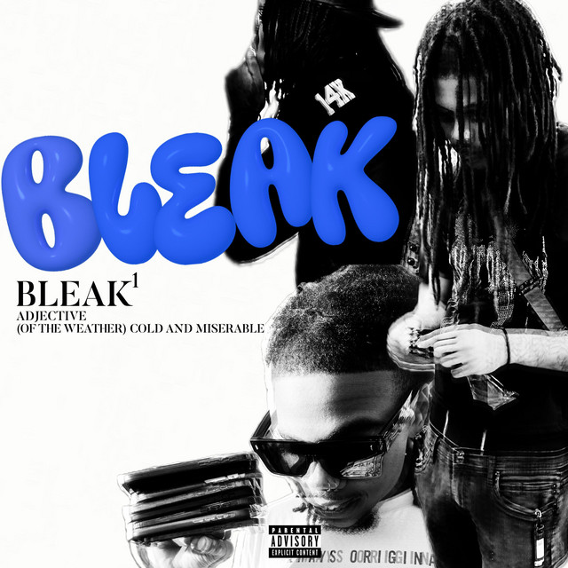 BLEAK cover art