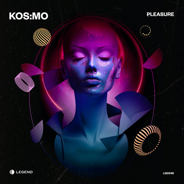 Pleasure album art
