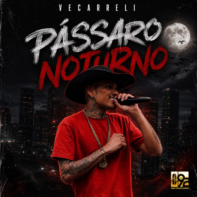 Passaro Noturno
