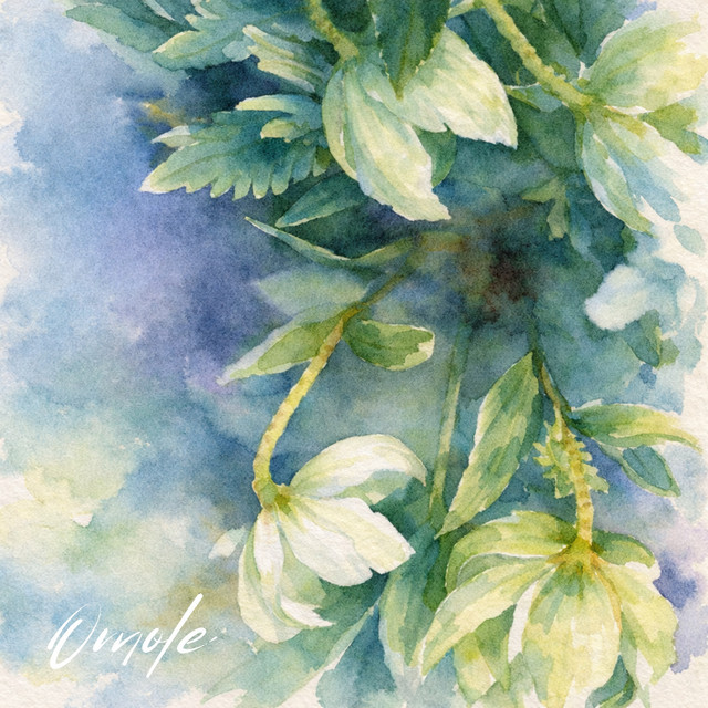 HÍMERO cover art