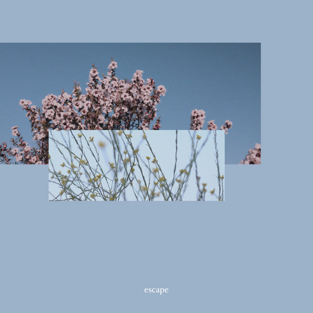 escape cover art