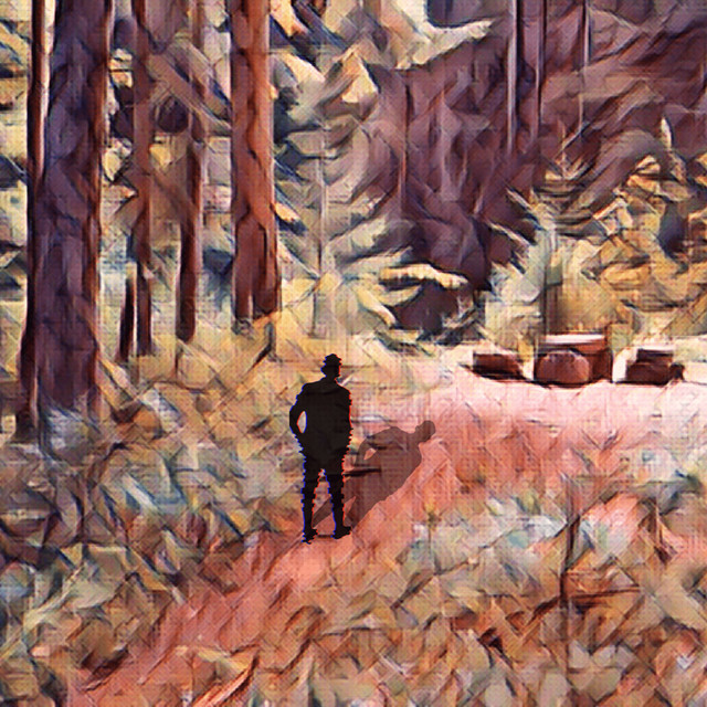A Walk Through The Woods cover art