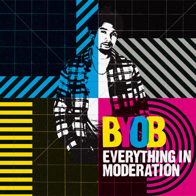 Everything in Moderation cover art