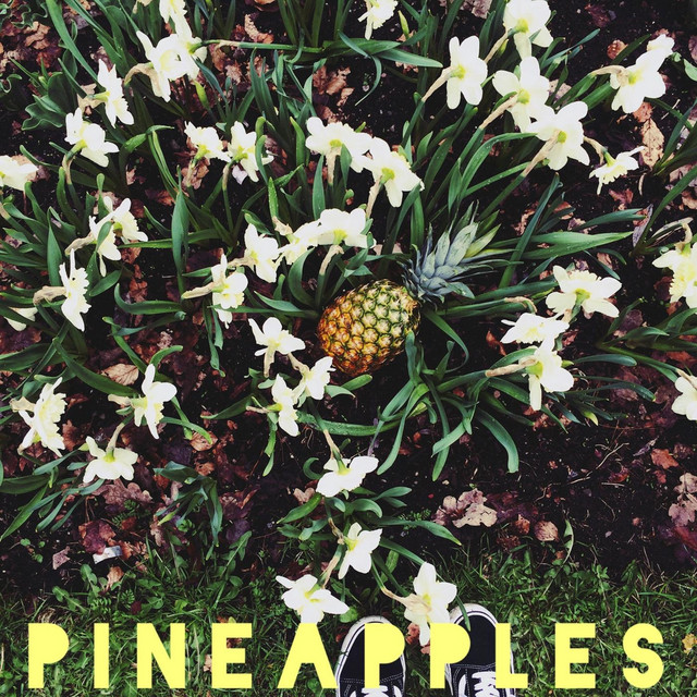 Pineapples cover art