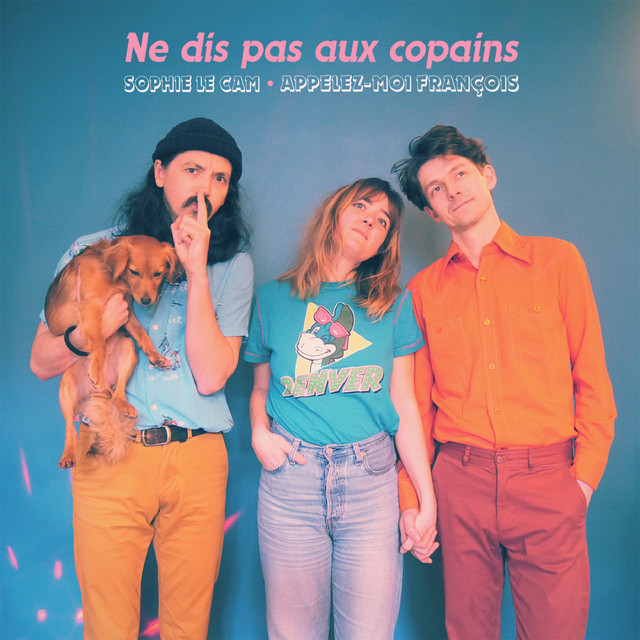 Cover du titre Ne dis pas aux copains