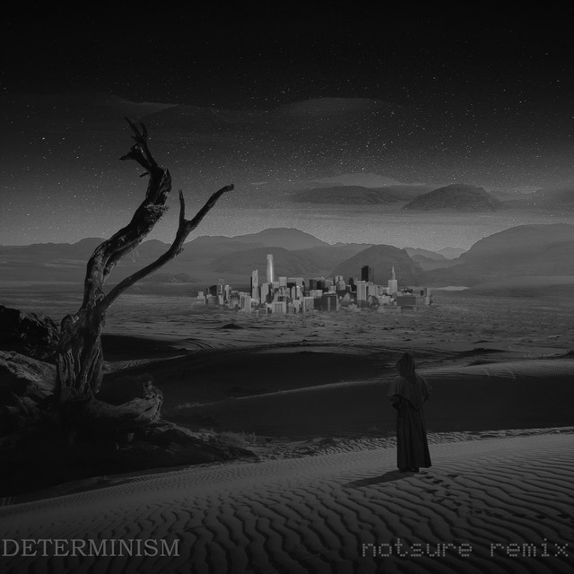 Determinism (notsure Remix) cover