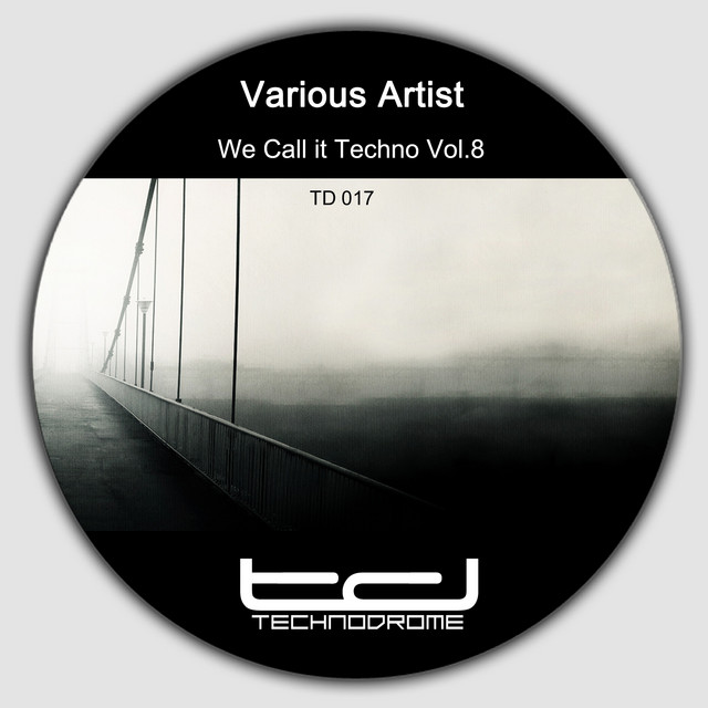 We Call It Techno, Vol. 8 cover