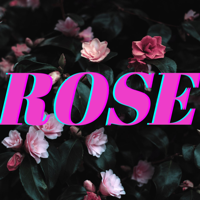 Rose cover art