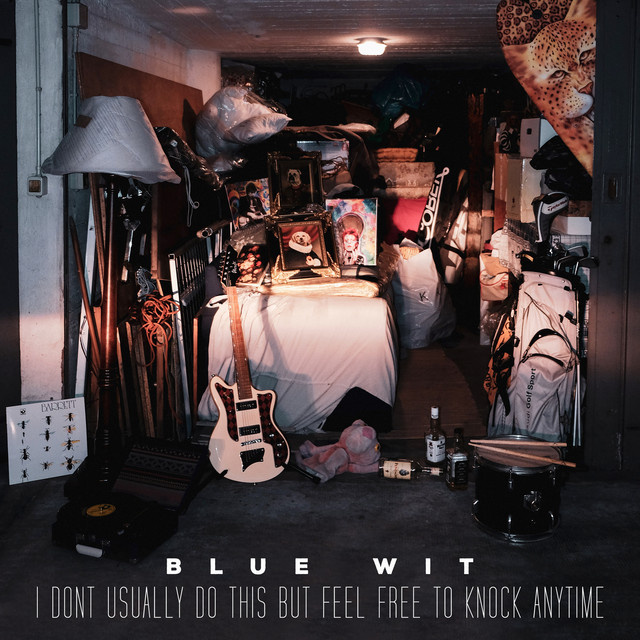 I Don't Usually Do This but Feel Free to Knock Anytime cover art
