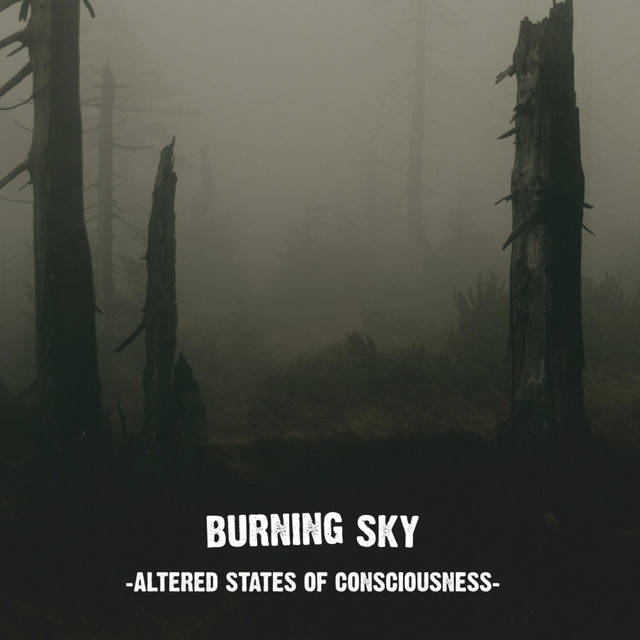 Altered States of Consciousness cover art
