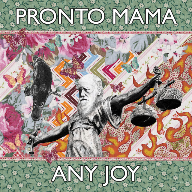 Any Joy cover art