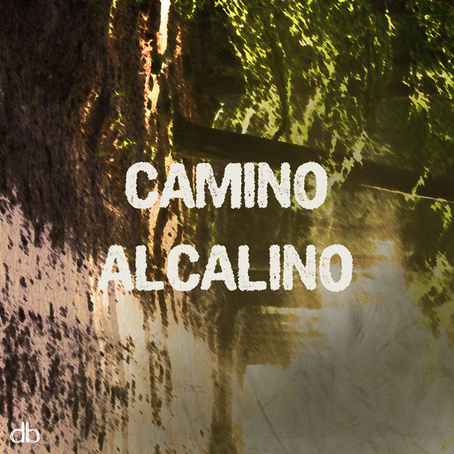 Camino Alcalino cover art